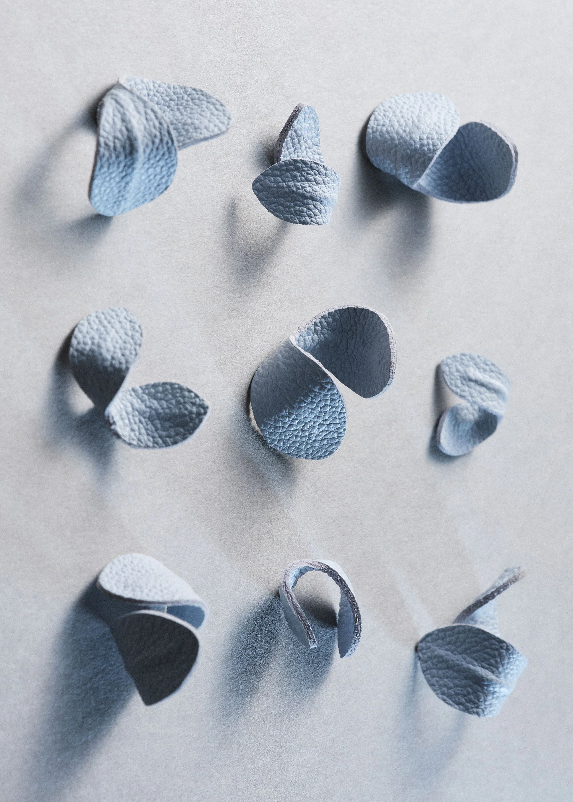 Béri Lif - Polar - Image 5